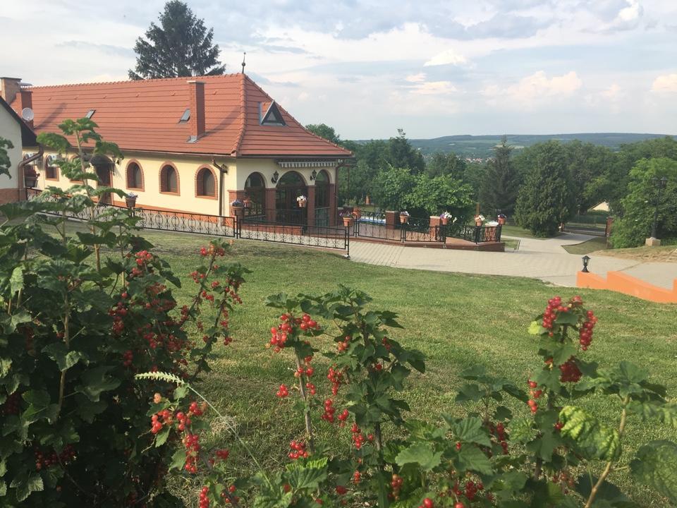 Villa Teleki Exterior photo